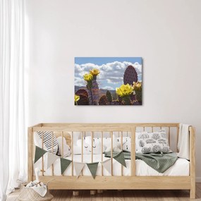 Tablou cu floarea de cactus Opunție (70x50 cm)