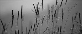 Tablou - Lamele de iarbă (120x50 cm)