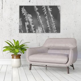 Tablou - Frig de îngheț (90x60 cm)