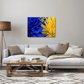 Tablou pe sticlă - detaliu florilor (70x50 cm)