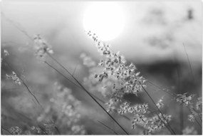 Tablou - Pajiște de toamnă (90x60 cm)