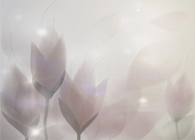 Tablou - Flori de crocus (70x50 cm)