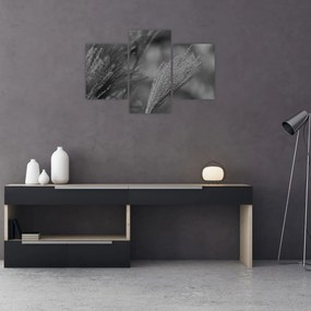 Tablou - Iarbă de pampas uscată (90x60 cm)