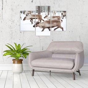 Tablou - Renul (90x60 cm)