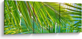 Tablou - Frunze de palmier (cu ceas) (90x30 cm)