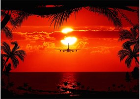 Tablou - apus de soare cu avion (70x50 cm)