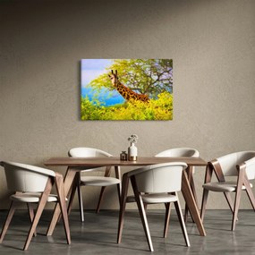 Tablou - Girafa în Africa (90x60 cm)