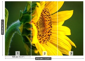 Fototapet floarea-soarelui
