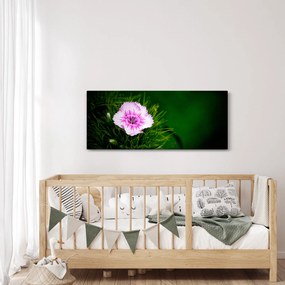 Tablou cu floare roz (120x50 cm)