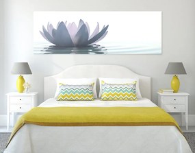 Tablou floare de lotus