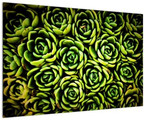 Tablou cu flori de piatră (90x60 cm)