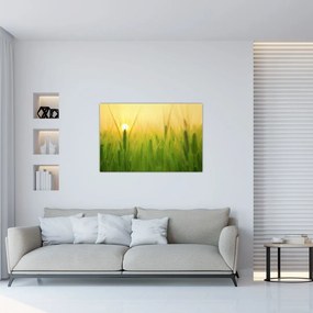 Tablou - Câmp cu cereale (90x60 cm)