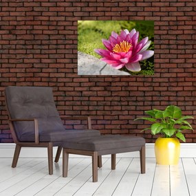 Tablou - Lotus (70x50 cm)