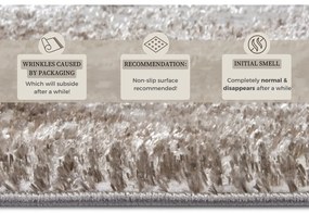 Covor bej/argintiu 120x170 cm Shine Classic – Hanse Home