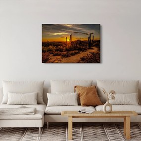 Tablou - Sfărșit de zi în deșertul Arizona (90x60 cm)