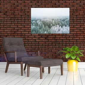 Tablou - Crestele munțillor înzăpezite (90x60 cm)