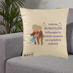 Cadou pentru Bunici - Perna Personalizata Bunicii Iubirea Infloreste Bunici cu Nepoata Colorat, 40x40 cm, Bej, Husa Detasabila, Perna Inclusa, BEKZ®