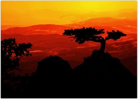 Tablou -Apus de soare (70x50 cm)