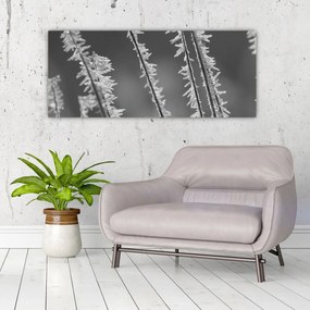 Tablou - Frig de îngheț (120x50 cm)