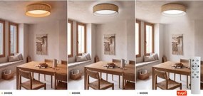 Brilagi - Lampă LED dimabilă, plafonieră 24W/230V 3000–6000K Ø 45 cm bej WT + DO