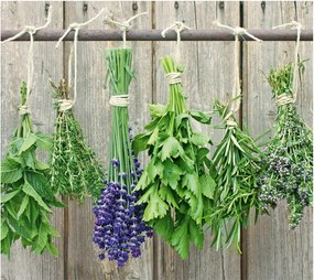 Placă de protecție din sticlă LAWENDA pentru aragaz – mare, ZELLER, model 10