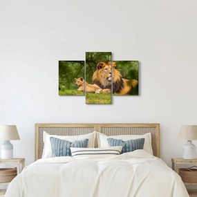 Tablou cu lei (90x60 cm)