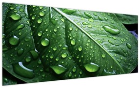 Tablou - Detaliu de frunze după ploaie (120x50 cm)