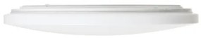 Plafonieră LED SEMPRE LED/36W/230V rotundă RED-Design Rendl-R12433
