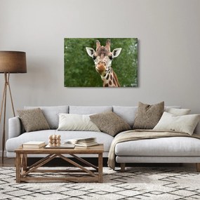 Tablou cu girafa (90x60 cm)
