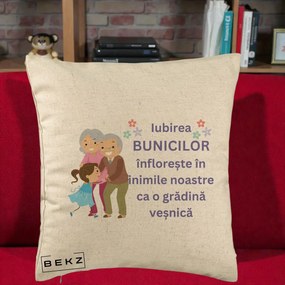 Cadou pentru Bunici - Perna Personalizata Bunicii Iubirea Infloreste Bunici cu Nepoata Colorat, 40x40 cm, Bej, Husa Detasabila, Perna Inclusa, BEKZ®