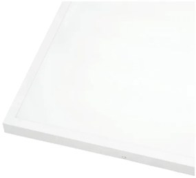 Panou LED aplicat BRISBANE LED/36W/230V 4000K 59,5x59,5 cm alb