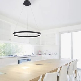 Lustră LED pe cablu dimabilă TITUS LED/38,5W/230V Paul Neuhaus 2382-13