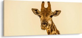 Tablou cu girafe (120x50 cm)