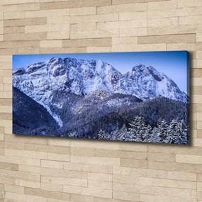 Imprimare tablou canvas Tatra munții giewont