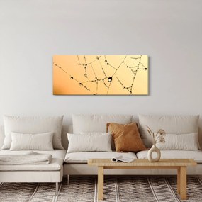 Tablou cu pânză de pâianjen cu rouă (120x50 cm)