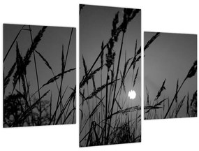 Tablou - Pajiște cu apus de soare (90x60 cm)