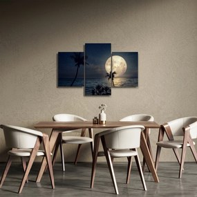 Tablou - Plaja cu lună plină (90x60 cm)