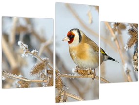 Tablou - Ciredeaua (90x60 cm)