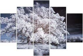 Tablou - Albă ca Zăpada Copac (150x105 cm)