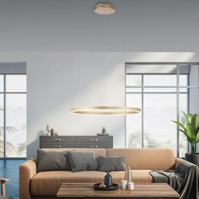 Lustră LED pe cablu dimabilă RITUS LED/28W/230V Leuchten Direkt 15394-60