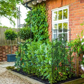 Outsunny Suport Tomate 3 Nivele din Oțel și PP Verde pentru Plante Cățărătoare Fructe Legume 38x38x182 cm | Aosom Romania