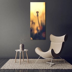 Tablou pe pânză canvas Păpădie