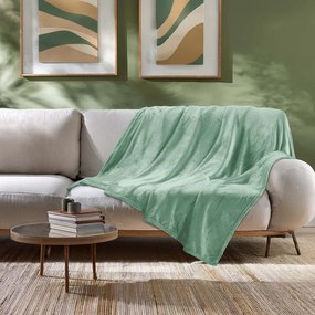 Pătură verde-deschis din microflanel 180x220 cm Flanou – douceur d'intérieur