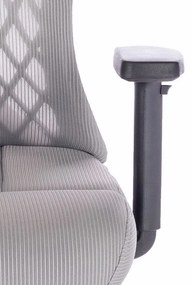 Scaun rotativ ergonomic de birou Ergomax gri deschis