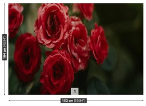 Fototapet Vintage Roses
