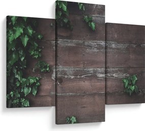 Tablou - Lederă (90x60 cm)