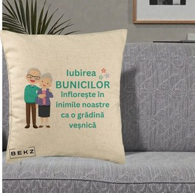 Cadou pentru Bunici - Perna Personalizata Bunicii Iubirea Infloreste Cuplu Senior Teal, 40x40 cm, Bej, Husa Detasabila, Perna Inclusa, BEKZ®