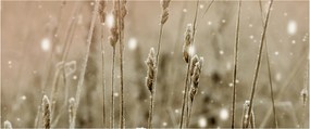 Tablou - Pajiște armonioasă (120x50 cm)