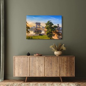 Tablou - Pod peste râu, Budapesta, Ungaria (90x60 cm)