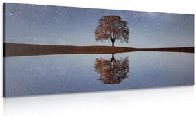 Tablou cer înstelat deasupra unui copac singuratic